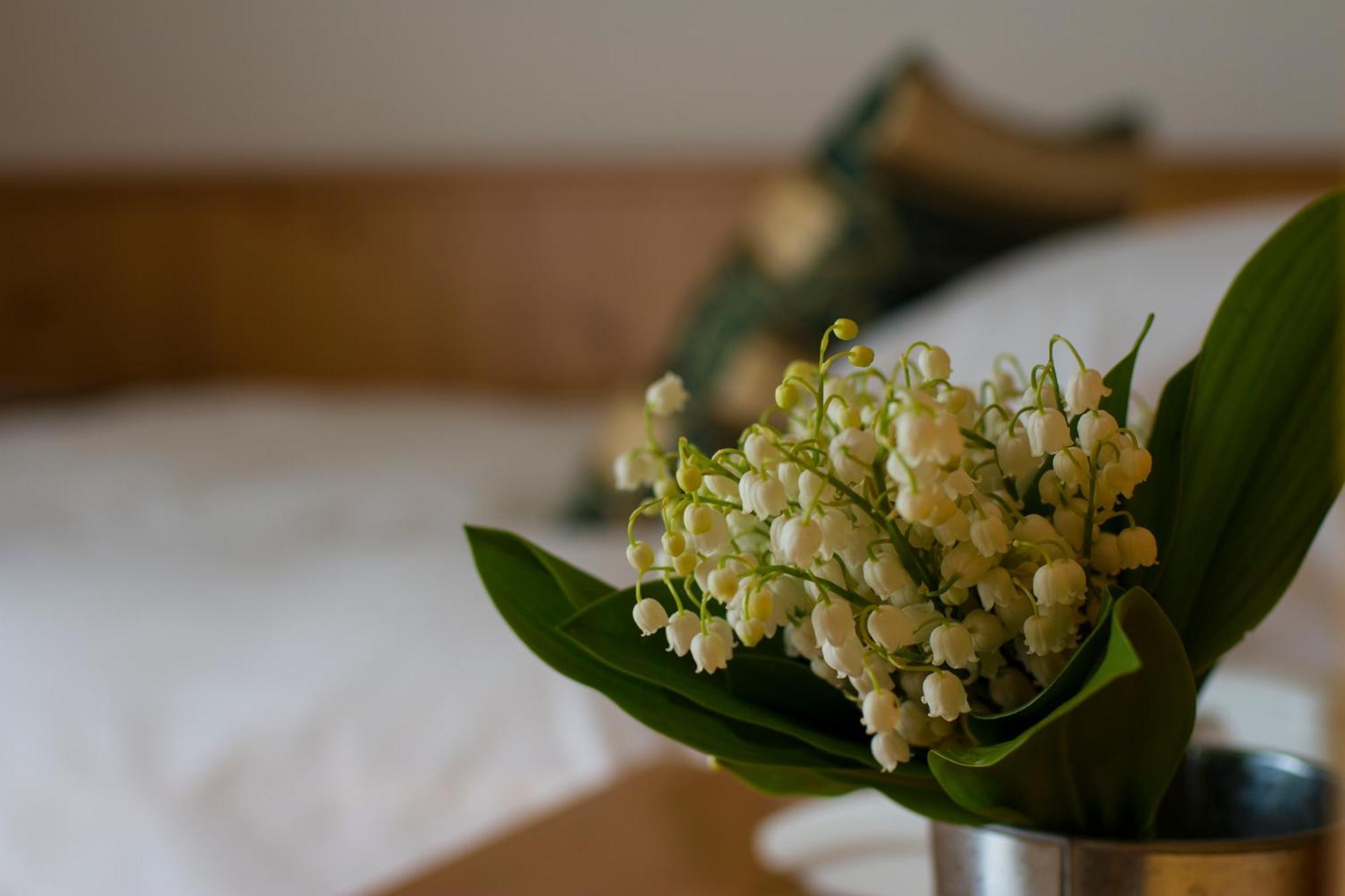 Hotel Chalet All'Imperatore Madonna Quarto foto